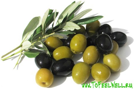 Чем полезны маслины и оливки