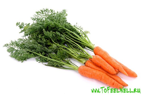 морковь с ботвой на белом фоне